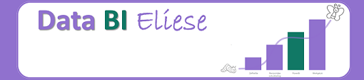 Logo Data BI Eliese